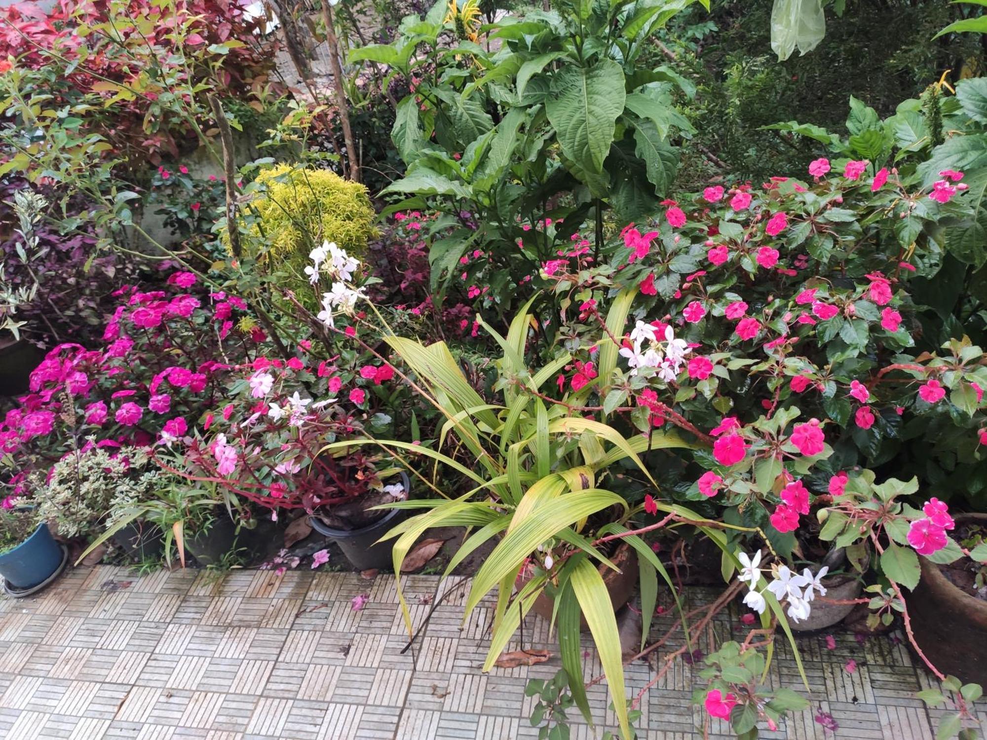 Soly'S Villa Homestay มุนนาร์ ภายนอก รูปภาพ