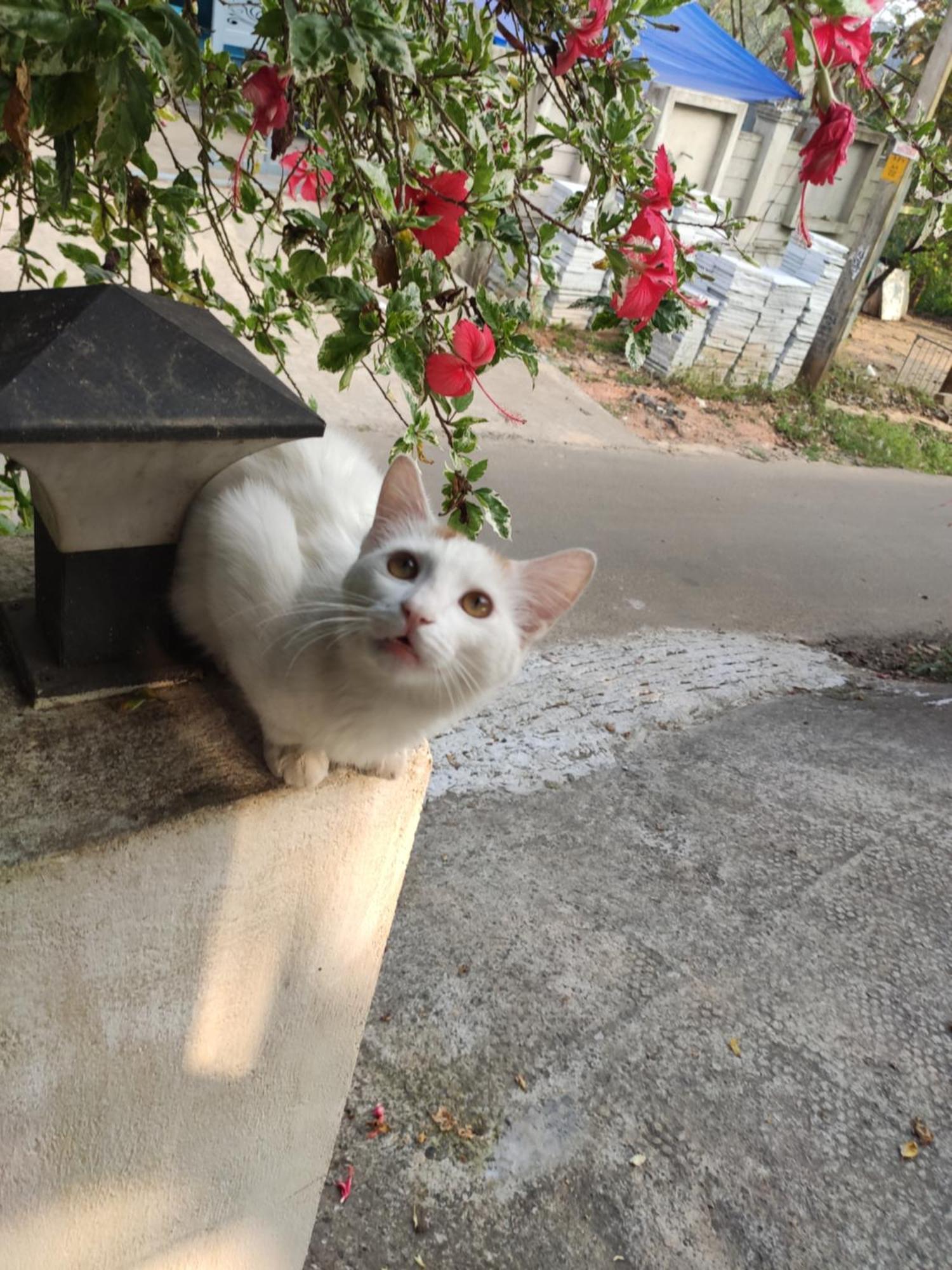Soly'S Villa Homestay มุนนาร์ ภายนอก รูปภาพ